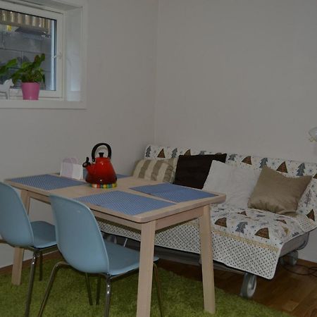Totally Independent Apartment Near Ntnu,Lerkendal And Center Trondheim Exterior foto